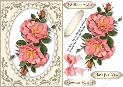 Beautiful Pink Roses on a Silver and Sepia Mat 