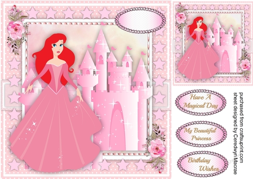 My Beautiful Princess 1