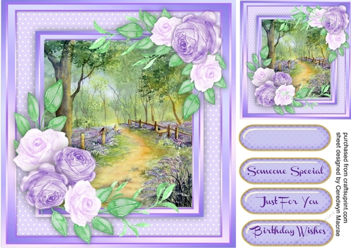 Stunning Lilac Roses at Bluebell Woods 