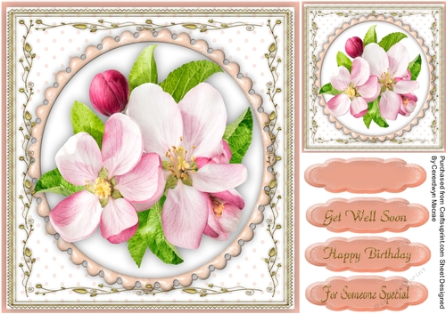 Beautiful Apple Blossom 