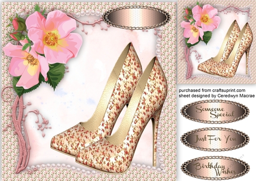 Beautiful Pink shoes and Roses  2
