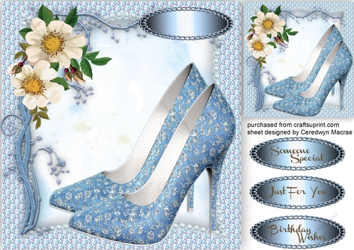 Beautiful Blue shoes and  White Roses 3