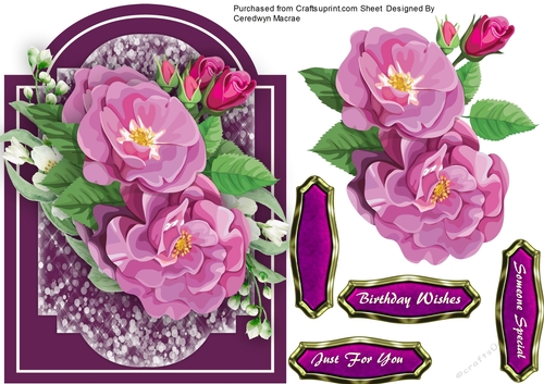  Beautiful Mauve Roses on a Cut Out Mat 