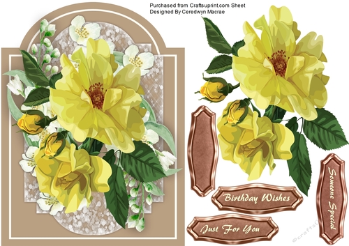  Beautiful Yellow Roses on a Cut Out Mat 