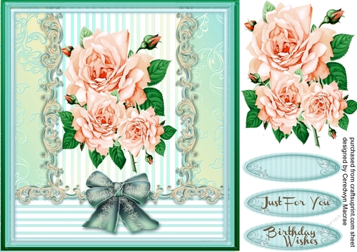 Beautiful Peach Roses on a Aqua Mat 