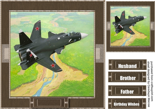 Lovely Fighter Plane 