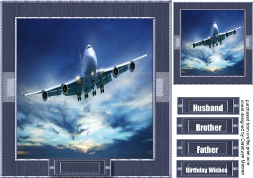 Plane in the Night Sky 