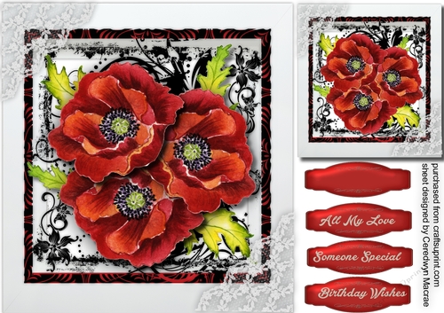 Stunning Poppies and Lace Corner 