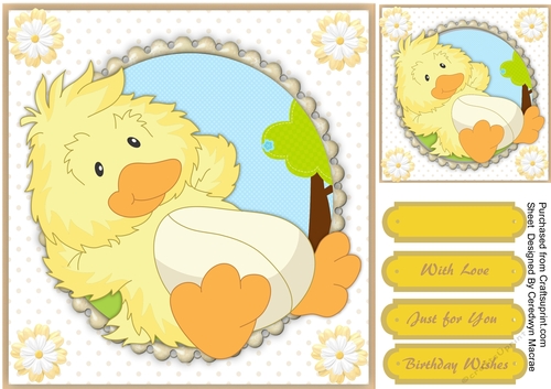 Little Chicks Lazy Day