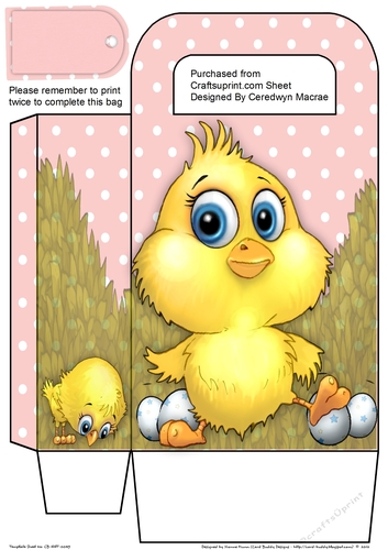 Lovely Easter Chick Greeting Bag 1