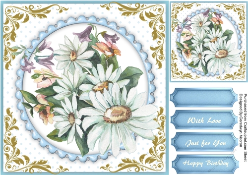 Beautiful Daisys  