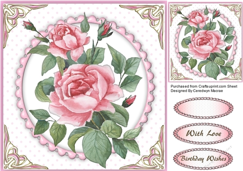 Beautiful Rose on a Oval Frame  
