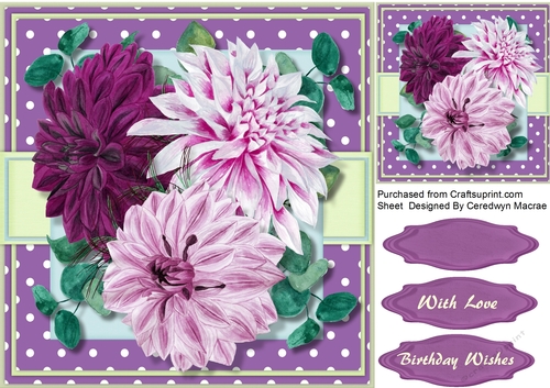 Stunning Chrysanthemums on a polka Mat 