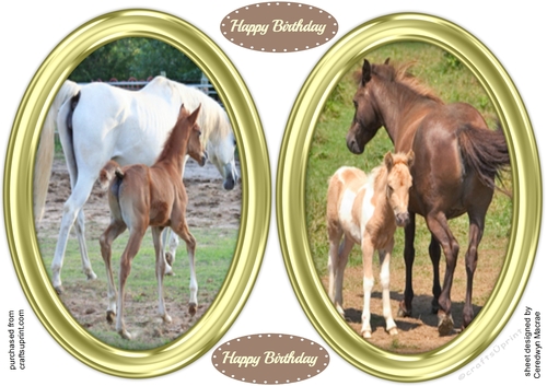 2 , Beautiful Oval Toppers With Mother and Foal ,