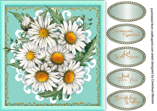 Beautiful Daisys on a lace Mat 