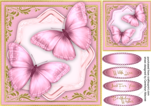 Pink Butterflys on a Shaped Mat