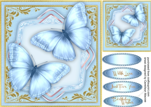 Blue Butterflys on a Shaped Mat