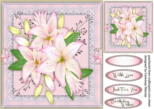 Beautiful Lily on a Lace Mat 