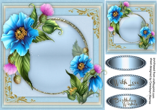 Beautiful Blue Himalayan Poppies