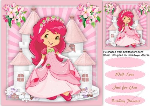 Beautiful Princess and Her Castle 