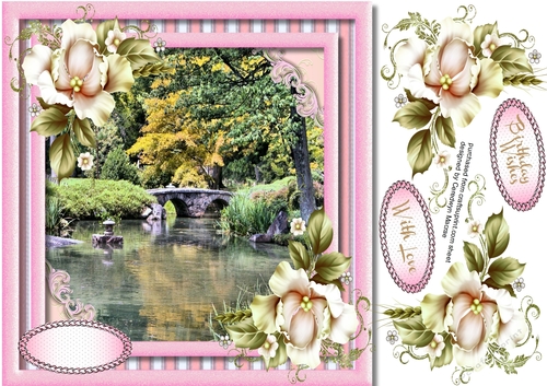 Orchids in a Japanese Garden