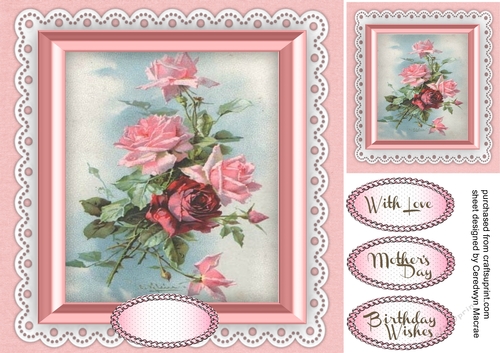 Beautiful Pink Kleine Rose