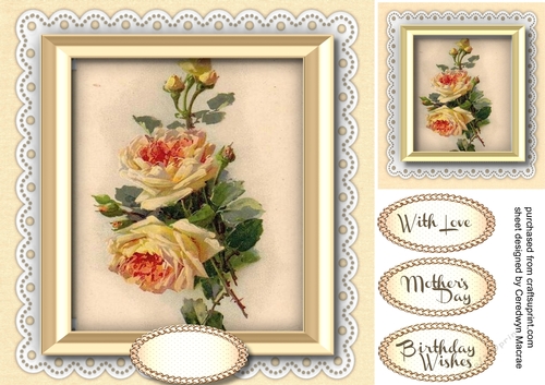 Beautiful Yellow Kleine Rose
