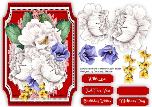 Beautiful Roses on a Cut Out Mat