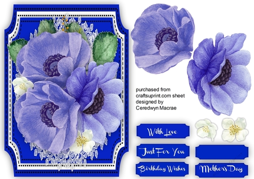 Beautiful Vintage Anemones on cut out Mat 