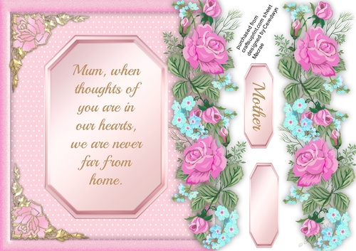 Over  The Edge , A Special Mum