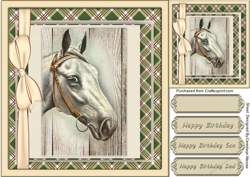 Beautiful Horses Head 