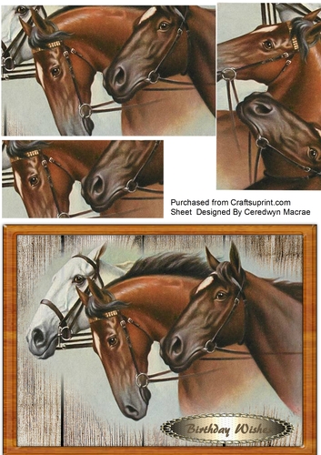 Beautiful Horses Head 