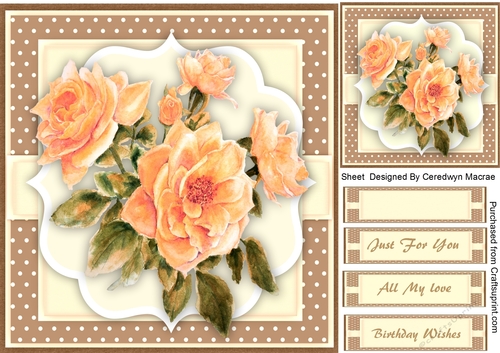 Beautyiful  Apricot roses