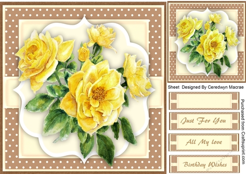Beautyiful Yellow   roses 