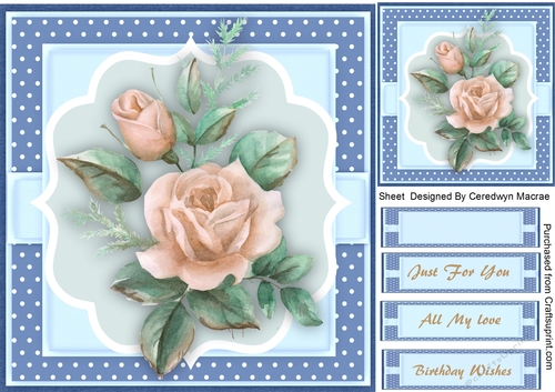 Beautyiful Cream   roses on a polka mat