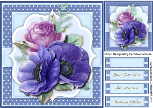 Beautyiful Blue Anemones 