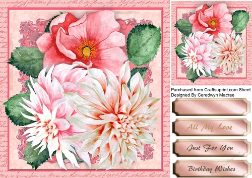 Beautiful Pink Chrysanthemums on a Script Mat
