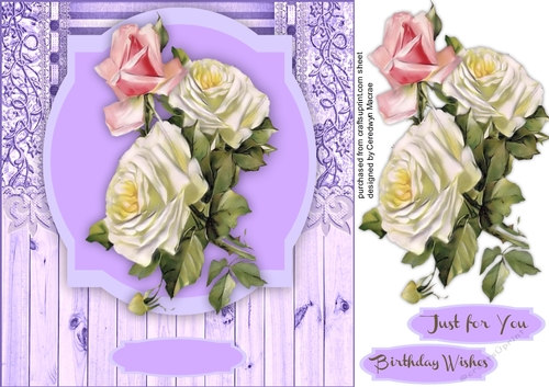 Beautiful Cream Roses on a Shaped Mat