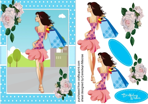 Fashion Girl off Shopping 1