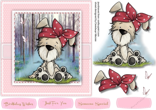 Polka Dot Bella in the Forest