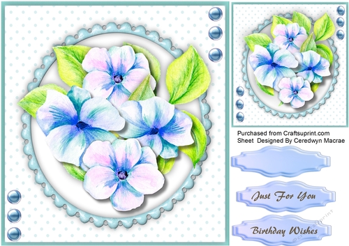 Beautiful Pencil Flowers on a blue Scalloped Frame 