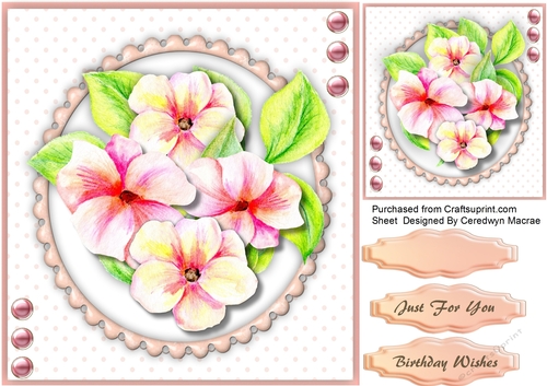 Beautiful Pencil Flowers on a Pink Scalloped Frame 