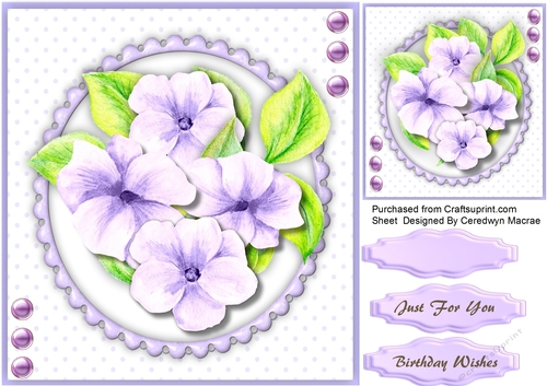 Beautiful Pencil Flowers on a Lilac Scalloped Frame 