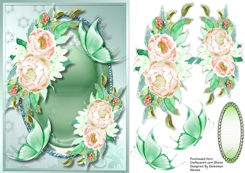 Cream Roses and Butterflys 