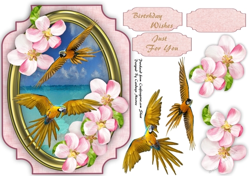 Beautiful Golden Parrots on the Wing 