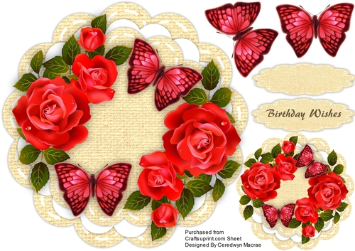 Beautiful red roses and Butterflys 