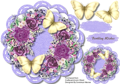 Beautiful Plum roses and Butterflys 