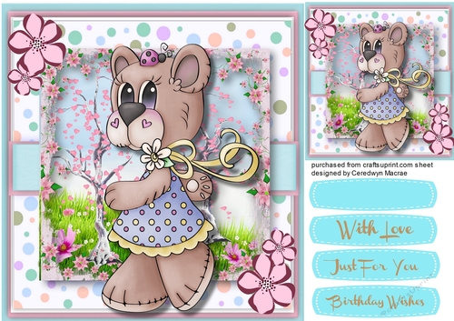 Bear Takes a Walk in her New Dress 