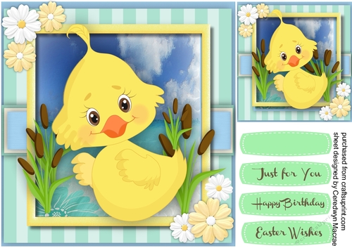 Little Duckys Springtime Wishes