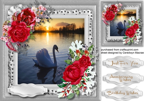 Swan at Sunset with Red Roses